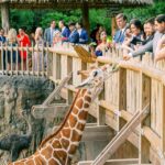 Descubre el paraíso en el sublime Nautilus Sonesta Miami Beach »