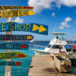 ¿Cuáles son las 10 marcas de autos más vendidas en México en el 2023? »