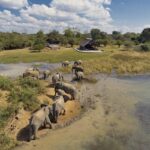 Los 5 mejores barrios de Little Italy en EE.UU. »