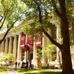 Los 7 Mejores Autos Automáticos del 2024 »