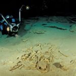 4 de las Mejores marcas de vehículos del 2024 »