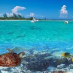 Los 20 Autos más vendidos en lo que va de año »