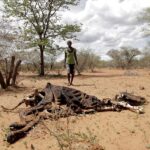 Los 5 Lugares Más Fríos del Mundo »