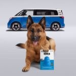 ¿Por qué Hyundai tiene ciertos problemas de calidad y está en declive en el mercado hispano? »