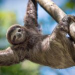 5 destinos de México donde perderse es parte del plan »