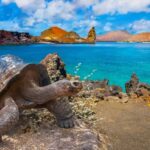 5 países con las políticas más amigables para viajar con mascotas »